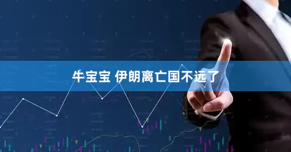 牛宝宝 伊朗离亡国不远了