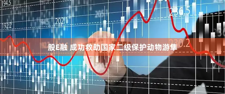 股E融 成功救助国家二级保护动物游隼