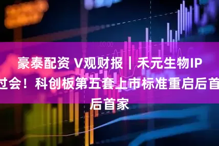 豪泰配资 V观财报｜禾元生物IPO过会！科创板第五套上市标准重启后首家