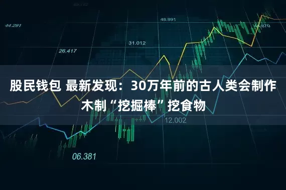 股民钱包 最新发现：30万年前的古人类会制作木制“挖掘棒”挖食物
