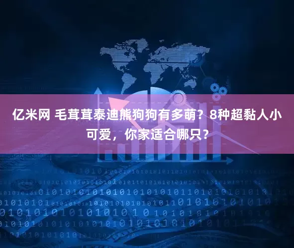 亿米网 毛茸茸泰迪熊狗狗有多萌？8种超黏人小可爱，你家适合哪只？