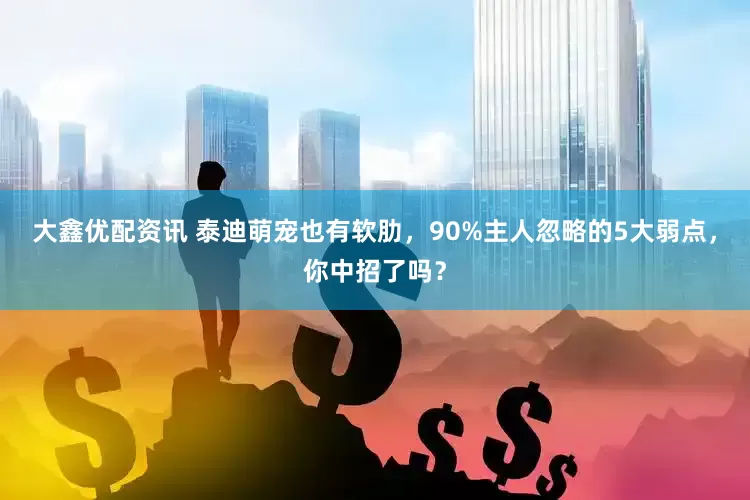 大鑫优配资讯 泰迪萌宠也有软肋，90%主人忽略的5大弱点，你中招了吗？