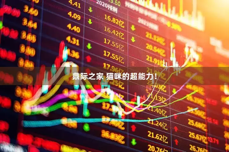鼎际之家 猫咪的超能力！