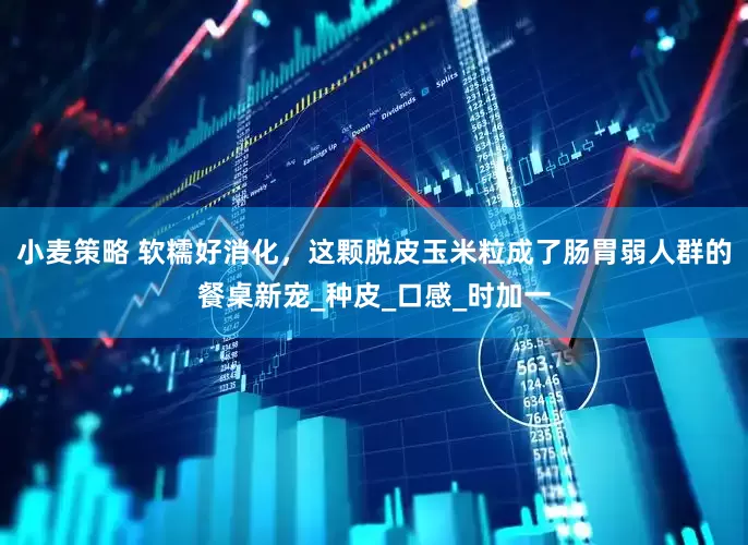 小麦策略 软糯好消化，这颗脱皮玉米粒成了肠胃弱人群的餐桌新宠_种皮_口感_时加一