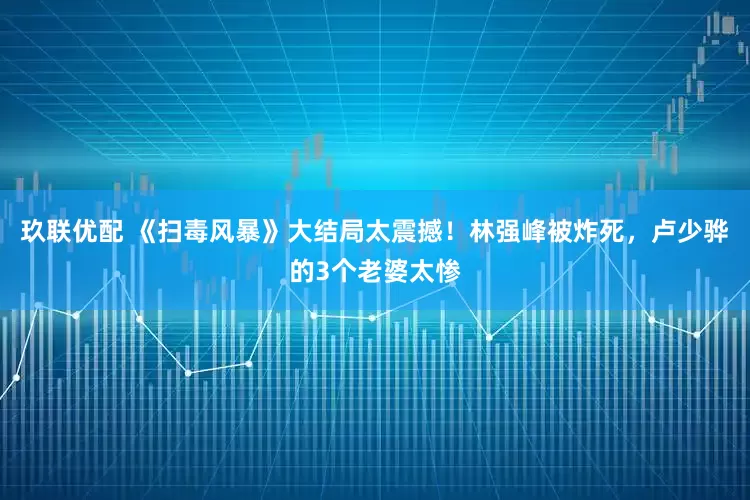 玖联优配 《扫毒风暴》大结局太震撼！林强峰被炸死，卢少骅的3个老婆太惨