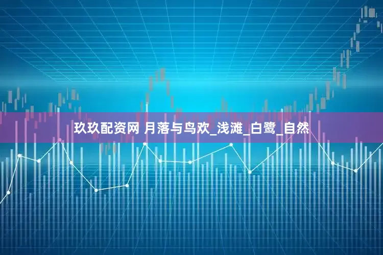 玖玖配资网 月落与鸟欢_浅滩_白鹭_自然