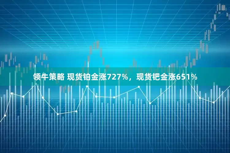 领牛策略 现货铂金涨727%，现货钯金涨651%